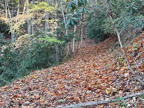 Summer Lane, Mill Spring, NC 28756 photo 8