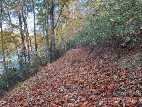 Summer Lane, Mill Spring, NC 28756 photo 3