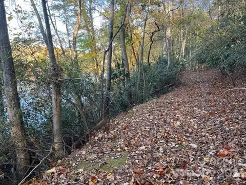 Summer Lane, Mill Spring, NC 28756 photo 7