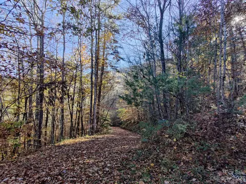 Birch Tree Lots 30 & 31 Cove LOT S 30 & 31, Franklin, NC 28734