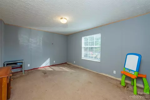 283 Durham Rd, Clyde, NC 28721 photo 20