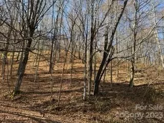 00 Tawodi 13 Trl #13, Maggie Valley, NC 28751