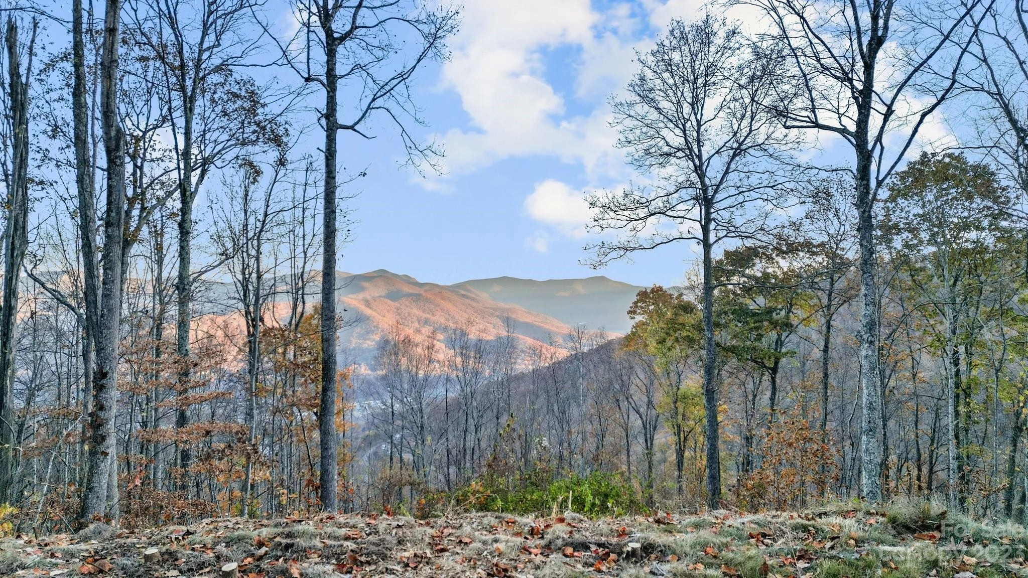 1391 Daydream 61 Rdg Unit 61  