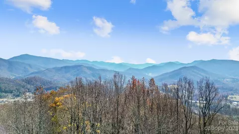 10 Peacock 19 Ln #19, Burnsville, NC 28714