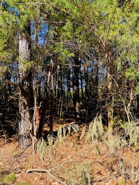 00 N Corner A Rd Unit A