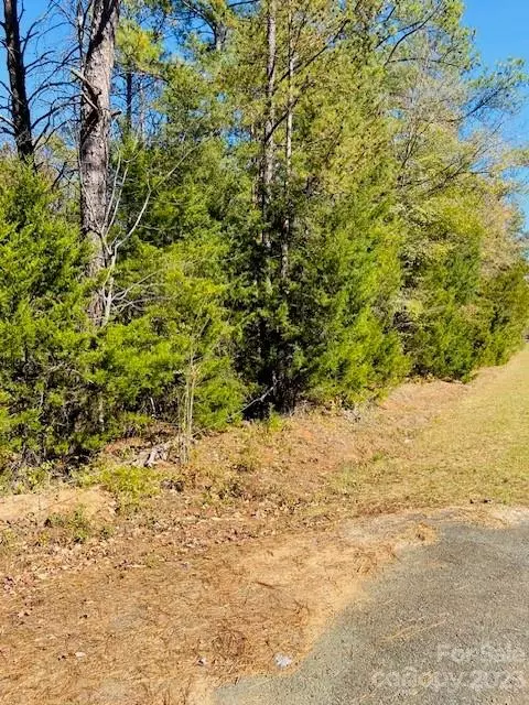 00 N Corner A Rd #A, Lancaster, SC 29720 photo 2