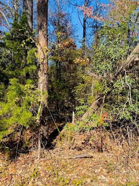 01 N Corner B Rd #B, Lancaster, SC 29720 photo 6
