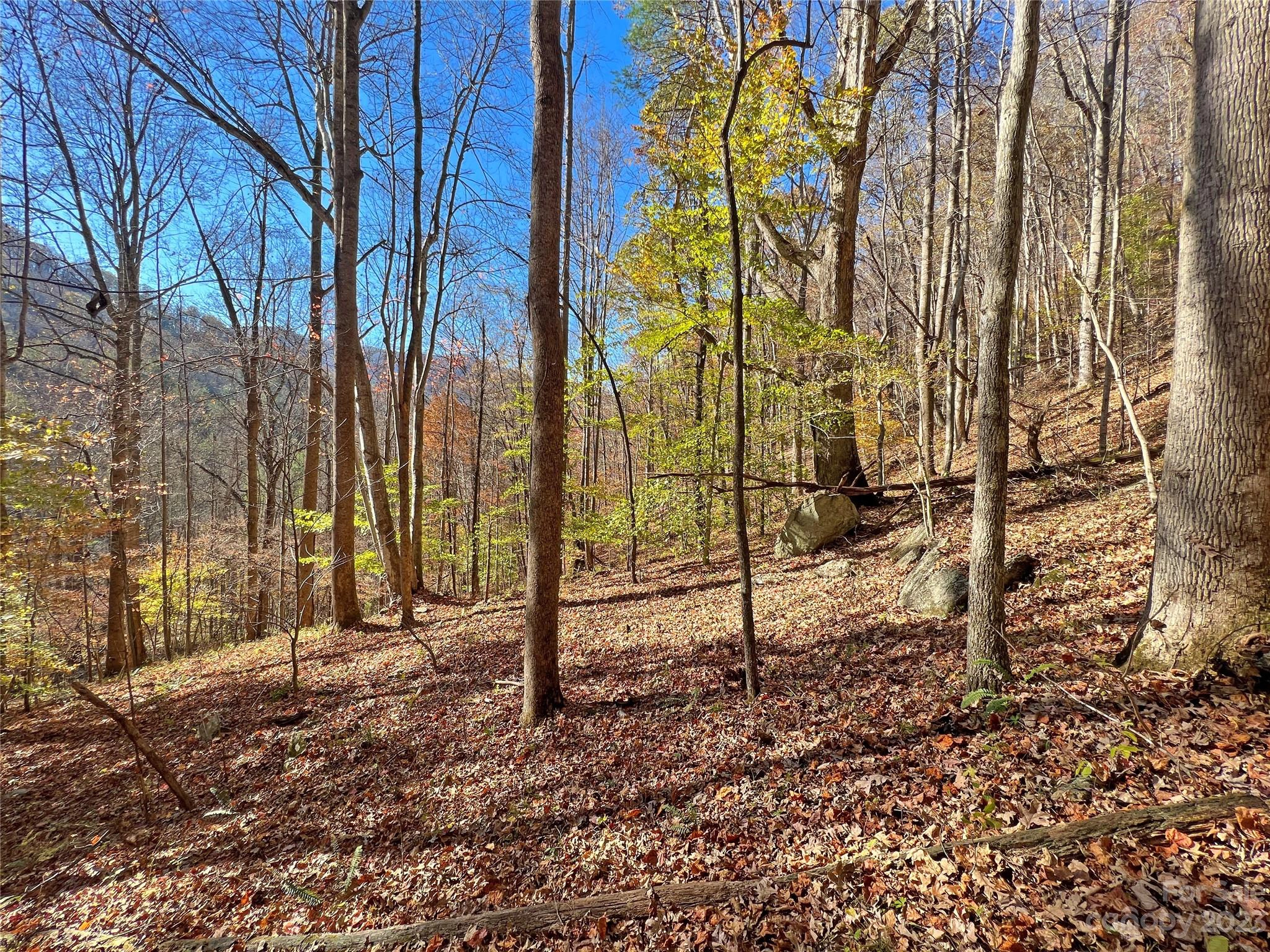 00 Nc 209 6 Hwy Unit 6  