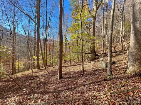 00 Nc 209 6 Hwy #6, Hot Springs, NC 28743