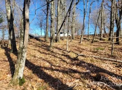 109 Pinnacle Ridge Rd, Beech Mountain, NC 28604 photo 3