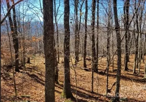109 Pinnacle Ridge Rd, Beech Mountain, NC 28604