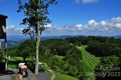 109 Pinnacle Ridge Rd, Beech Mountain, NC 28604 photo 10