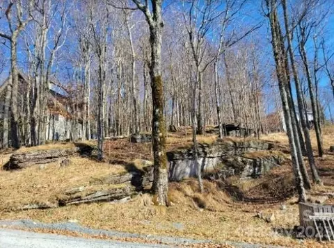 109 Pinnacle Ridge Rd, Beech Mountain, NC 28604 photo 4