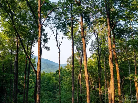 Harm Creek Loop, Mill Spring, NC 28756 photo 4