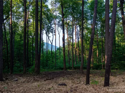 Harm Creek Loop, Mill Spring, NC 28756 photo 3