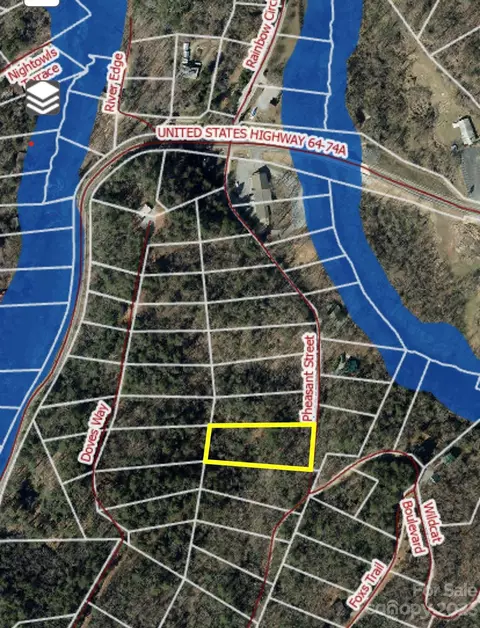 0 Pheasant St, Lake Lure, NC 28746