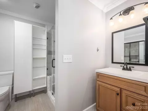 21128 Cold Spring Ln, Cornelius, NC 28031 photo 21
