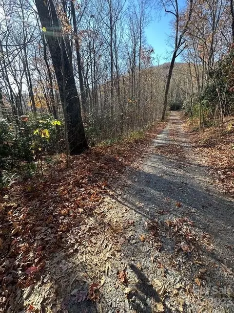 Greybeard Trail, Montreat, NC 28757