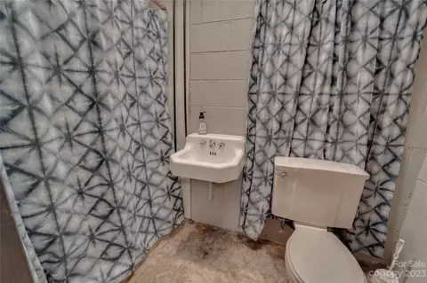 221 Spring St, Canton, NC 28716 photo 21