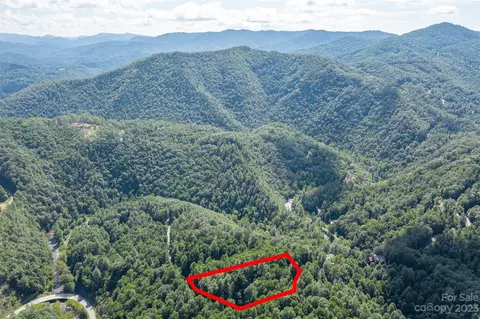 99999 Bear River Lodge Trl, Marshall, NC 28753