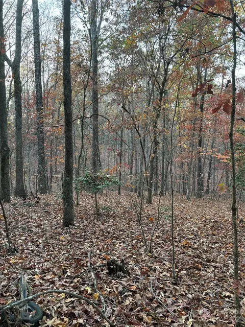 111 Picklesimer Rd, Casar, NC 28020 photo 3
