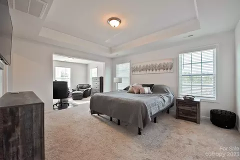 2233 Silver Pine St, Concord, NC 28027 photo 22