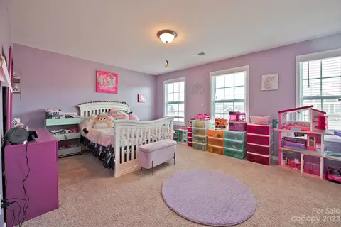 2233 Silver Pine St, Concord, NC 28027 photo 29