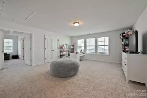 2233 Silver Pine St, Concord, NC 28027 photo 21