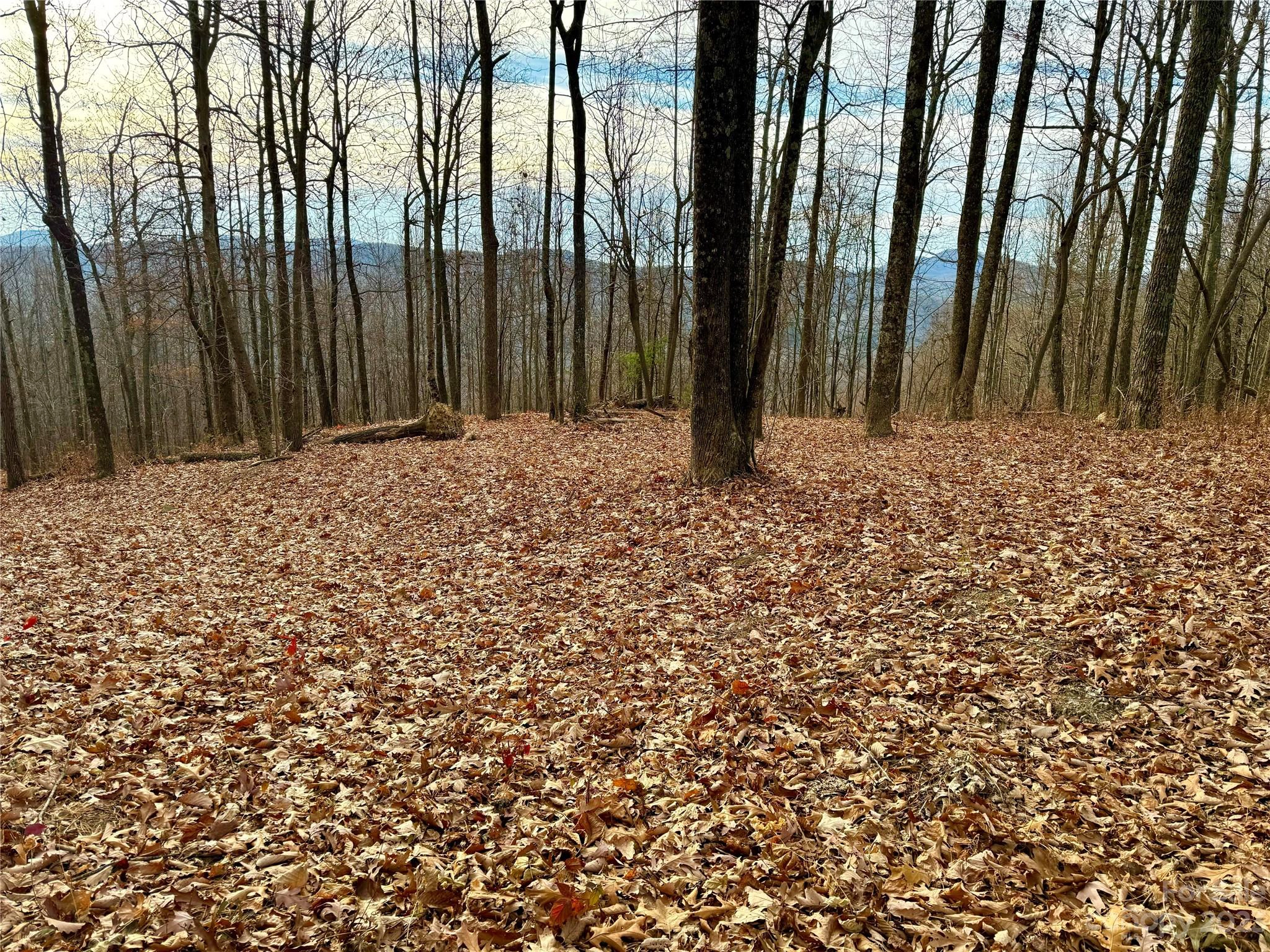 0000 Pinnacle Mountain 1 Rd Unit 1  