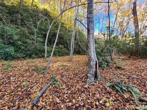 Leafy Lane, Boone, NC 28607 photo 12