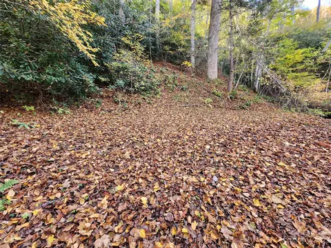 Leafy Lane, Boone, NC 28607 photo 4