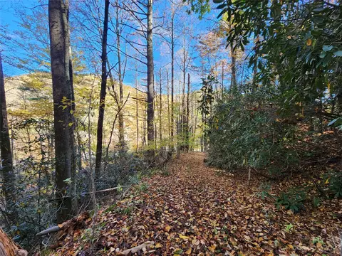 Leafy Lane, Boone, NC 28607 photo 19