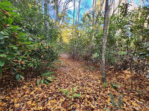Leafy Lane, Boone, NC 28607 photo 16