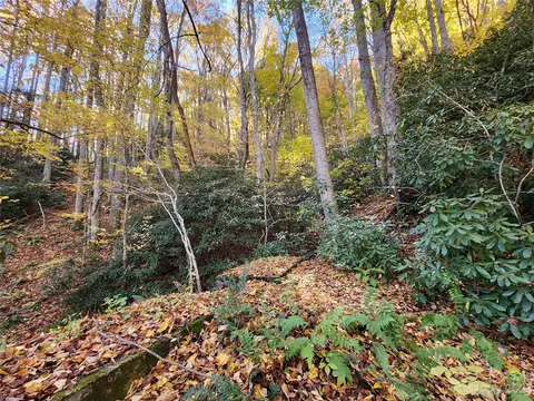 Leafy Lane, Boone, NC 28607 photo 9