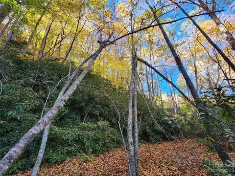 Leafy Lane, Boone, NC 28607 photo 14