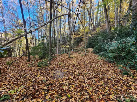 Leafy Lane, Boone, NC 28607 photo 8