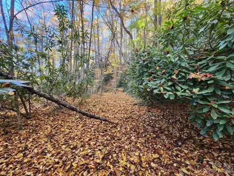 Leafy Lane, Boone, NC 28607 photo 7