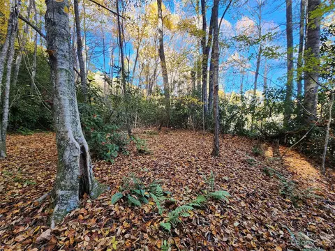 Leafy Lane, Boone, NC 28607 photo 13