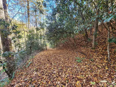 Leafy Lane, Boone, NC 28607 photo 18