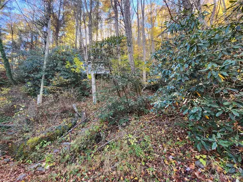 Leafy Lane, Boone, NC 28607 photo 21