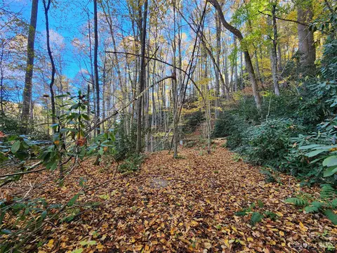 Leafy Lane, Boone, NC 28607 photo 15