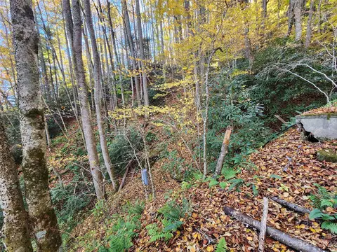 Leafy Lane, Boone, NC 28607 photo 10