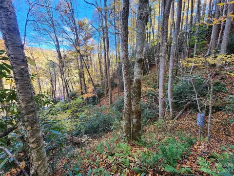 Leafy Lane, Boone, NC 28607 photo 11