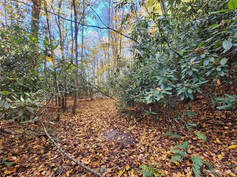 Leafy Lane, Boone, NC 28607 photo 6