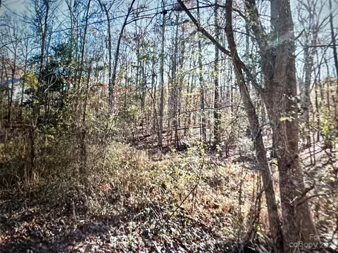 Carmel Road, Lancaster, SC 29720 photo 2