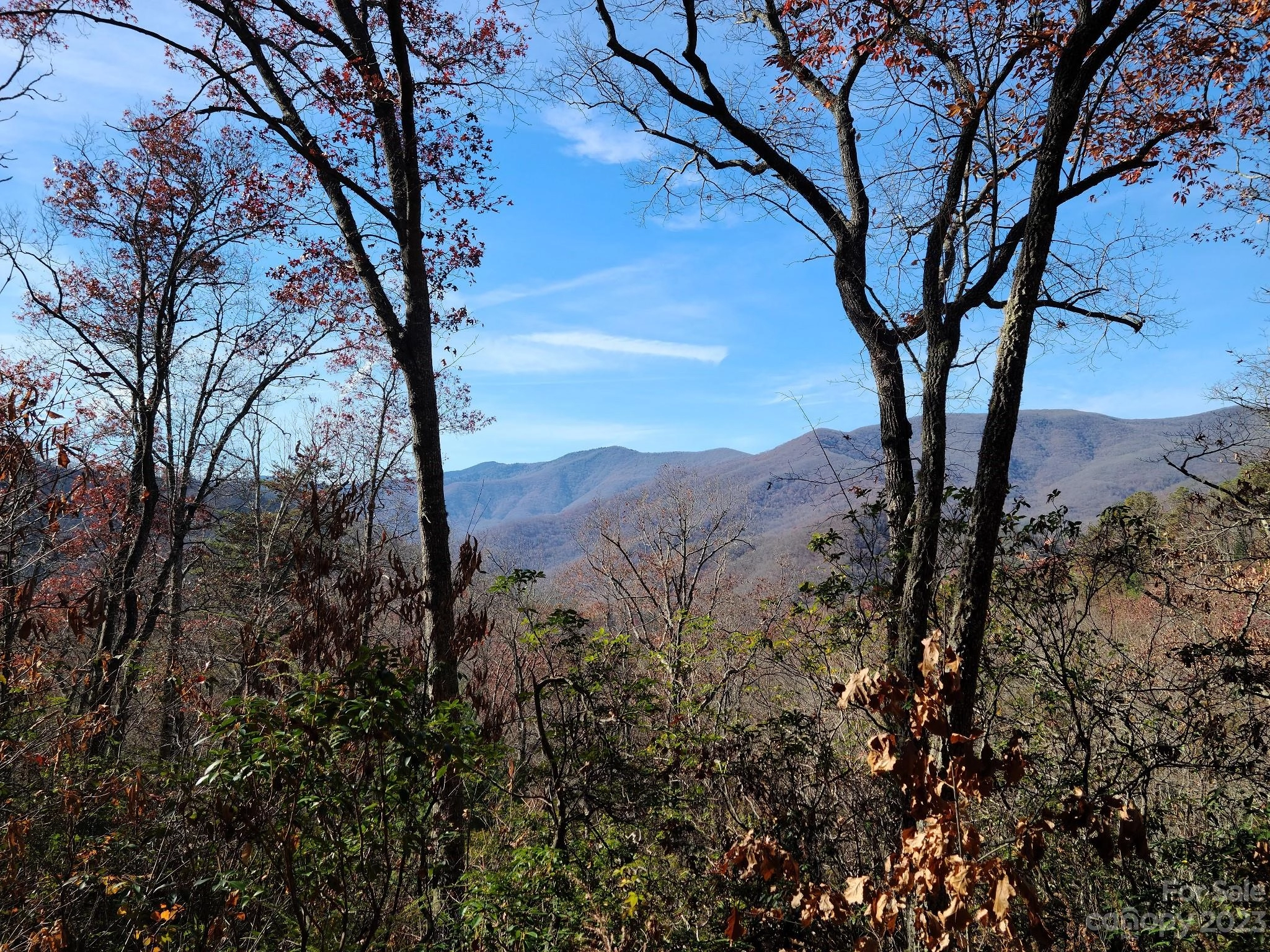 00 Blue Vista 2 Rd Unit 2  