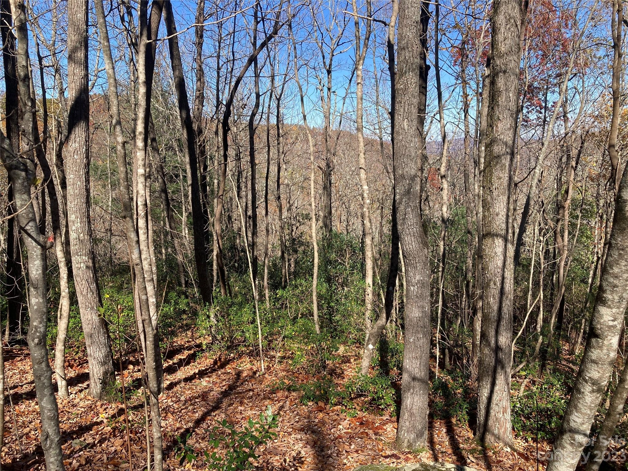 0 Wild Magnolia 46 Way Unit 46