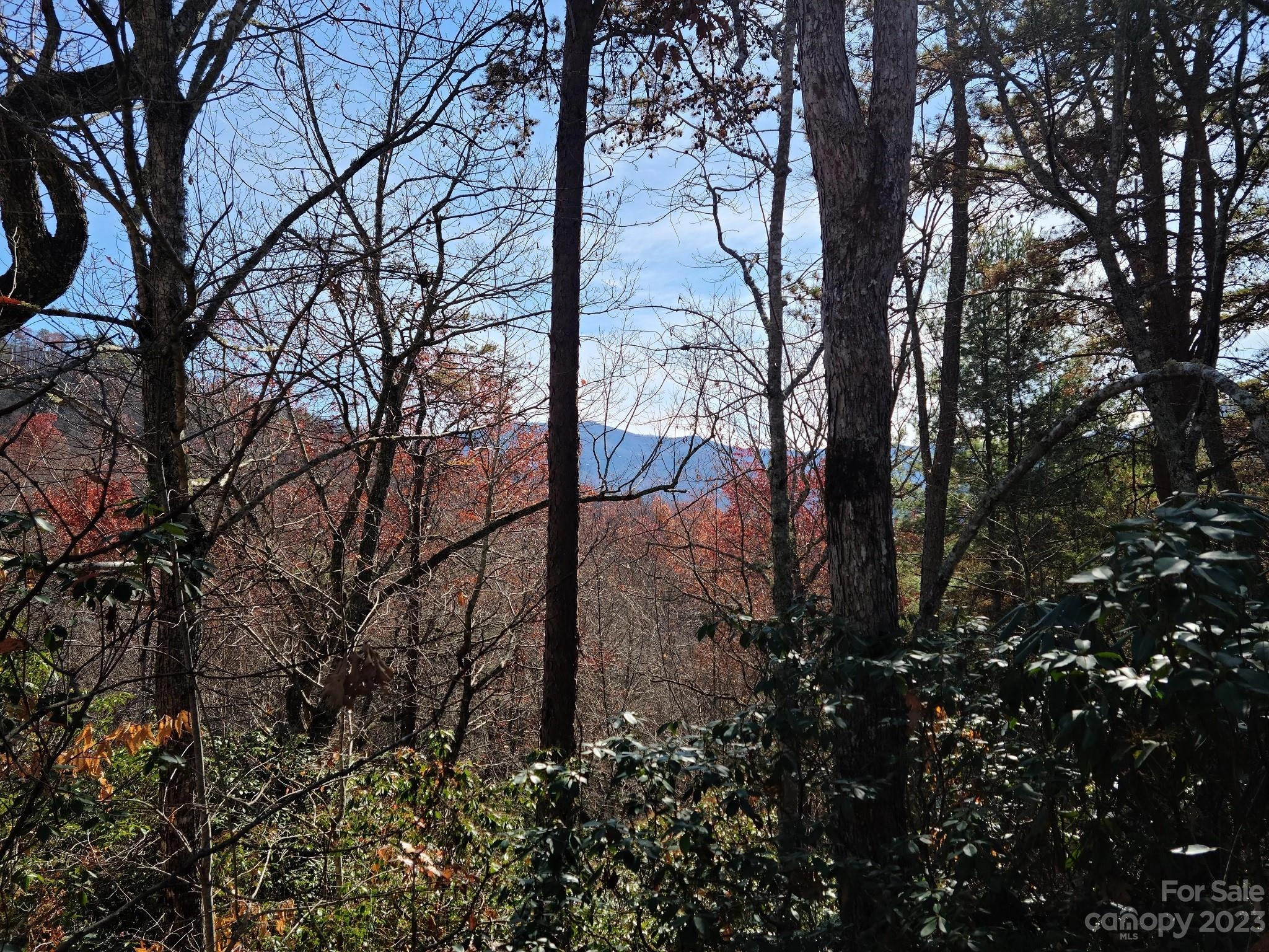 000000 Blue Vista 6 Rd Unit 6