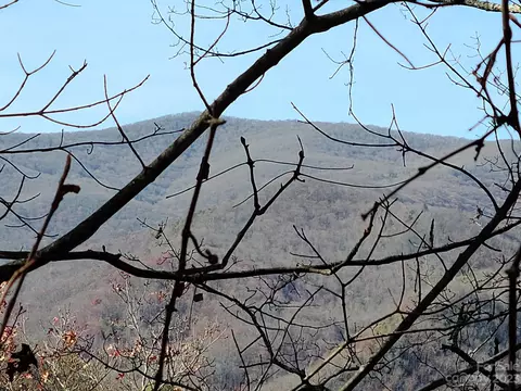 0000 Blue Vista Rd, Canton, NC 28716