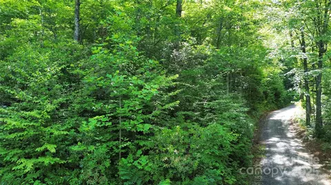 Falling Waters Road, Cullowhee, NC 28723 photo 3
